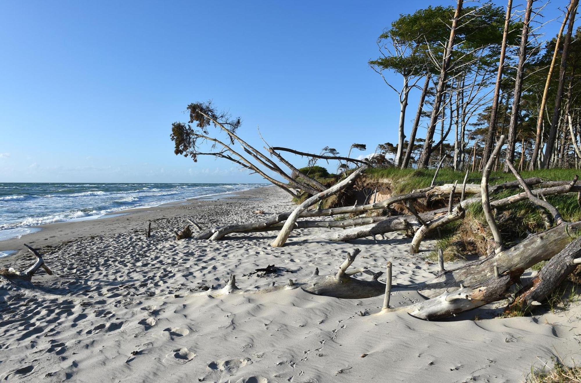 Strand Zingst Buitenkant foto